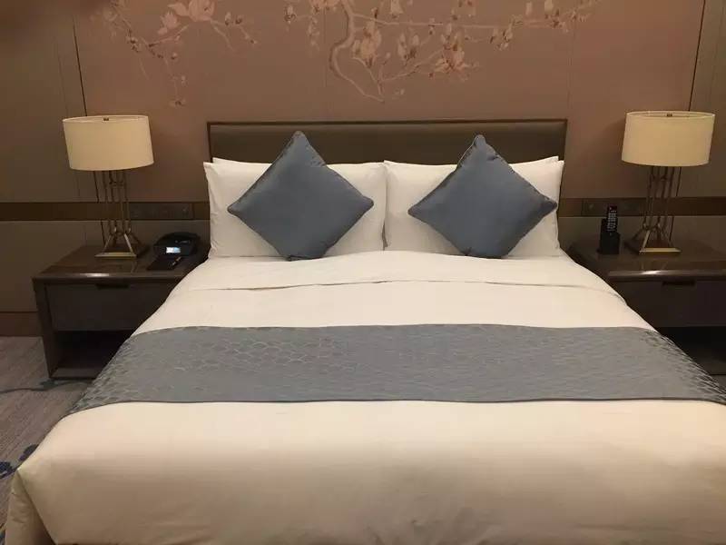 精彩旅途,南昌绿地铂骊酒店官网