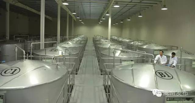 最美橄榄季，小武带您探访“特级初榨”是如何炼成的~