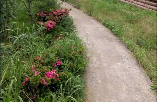 圣灯山老场镇风貌改造项目,圣灯山镇未来5年规划