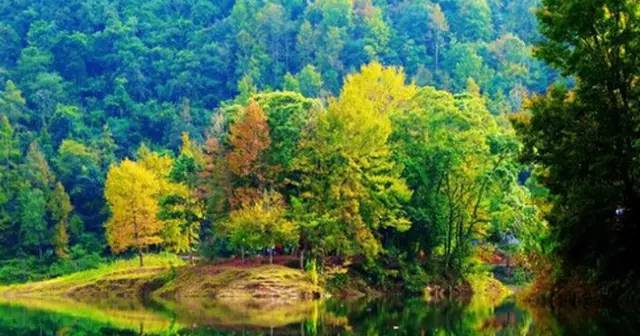 头条|再有人说广西没有秋天，就把这条微信甩给TA看！