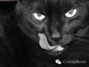 榛戝柕杩囩▼閲嶈杩樻槸缁撴灉閲嶈,榛戝柕浠ュ悗杩橀渶涓嶉渶瑕侀伩瀚屼簡