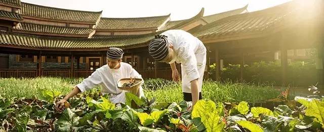 中国十大最受欢迎度假酒店排名 (中国最美最新的8家度假酒店)