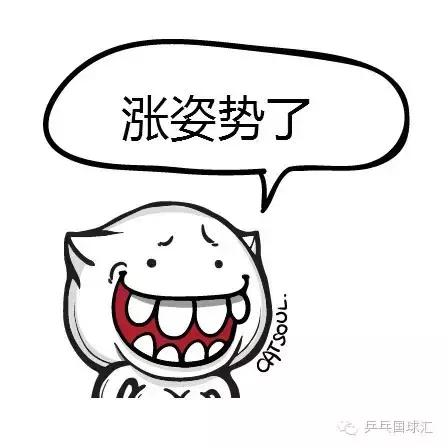 乒乓球各种胶皮分析,乒乓国球汇胶皮