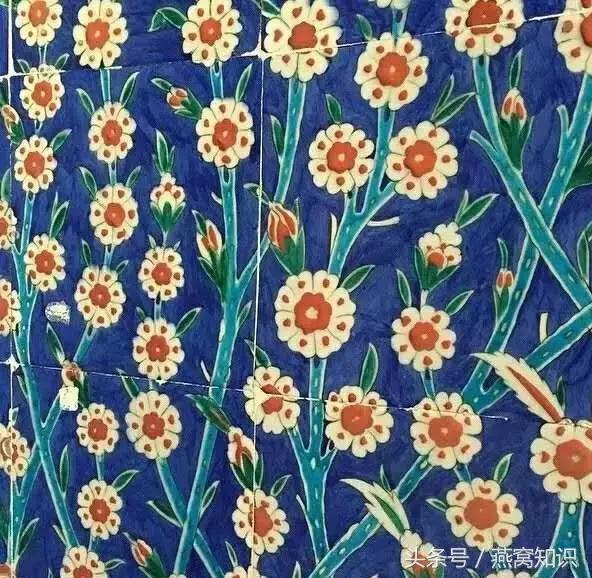 燕窝到底是啥玩意,真正的燕窝是怎样的