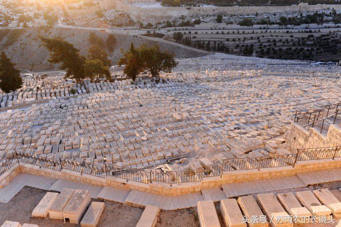 我的应许之地以色列的荣耀与悲情 (我的应许之地以色列的悲情与荣耀)