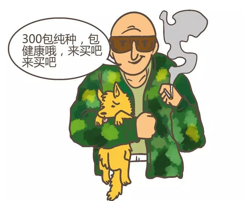 山东买狗骗局揭秘,网上买狗怎么揭穿骗局