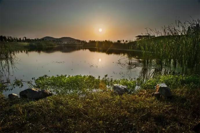 仙林湖还有发展空间吗,仙林湖扩建