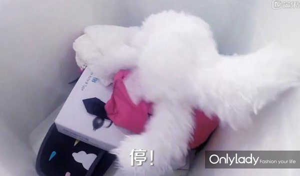 杨幂的素颜妆,杨幂的真实体重和身高