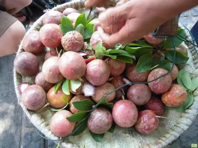 港南区哪里好玩,港南市哪里好玩
