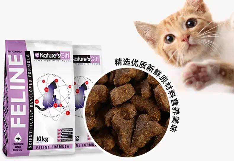 猫粮大盘点｜你家猫咪适合哪一款？