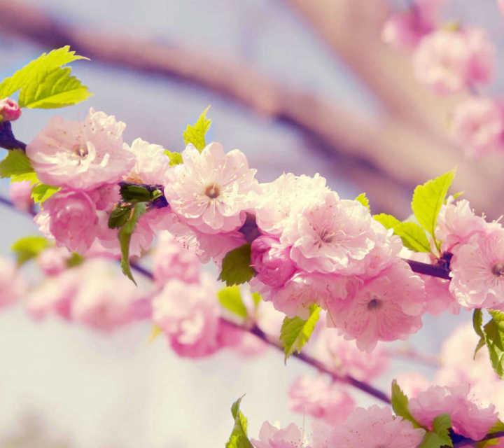 当你心烦了怎么办,当你心烦意乱的时候怎么办