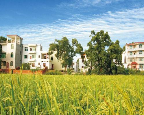 现在农村小白创业干什么最好,要想在农村混得好下一句