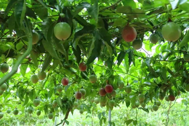 港南区哪里好玩,港南市哪里好玩