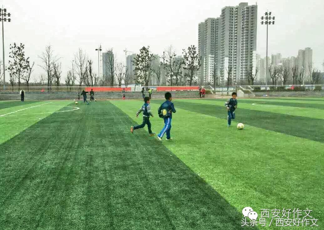 秋日暖阳爬山去酸枣柿子大丰收(听娃讲作文)