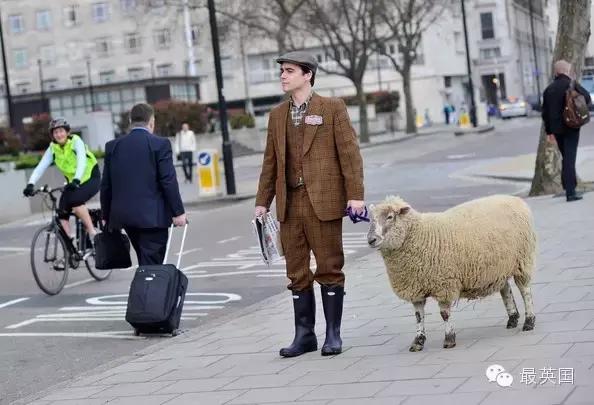 英国牛奶价格,英国的牛奶为什么便宜