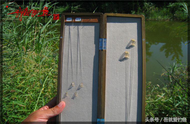 原创我爱飞鱼耍耍耍