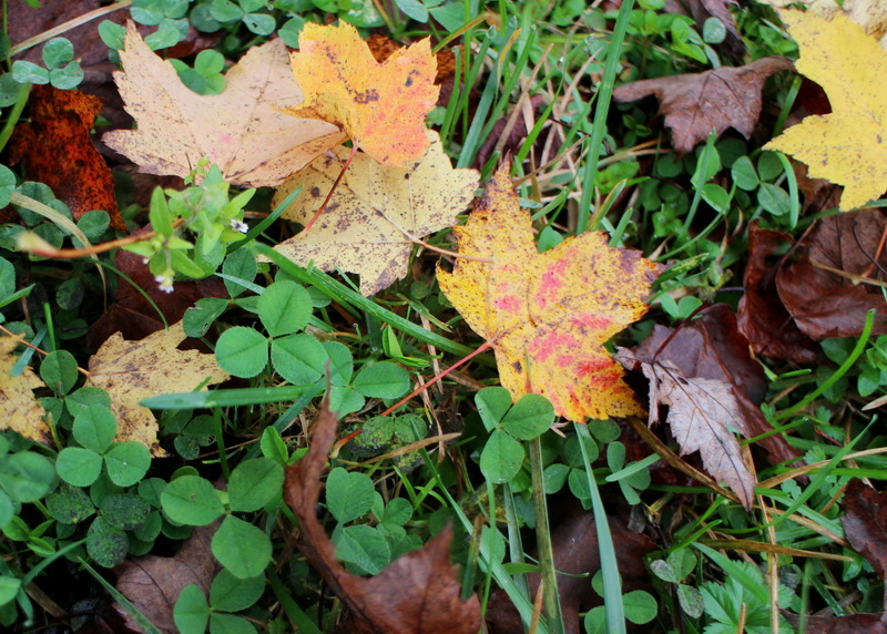 印象武隆属于什么档次,重庆旅行攻略观夜景