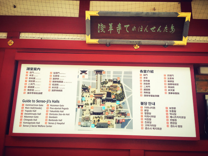 初秋日本快步东京，慢行北海道，泡汤美食8日