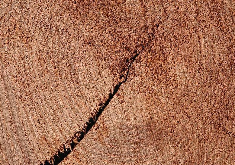 木头开裂怎么办,木头开裂了怎么修复视频