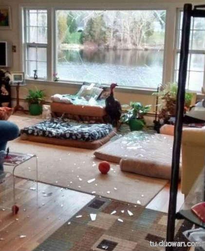 行尸走肉第一季到第十季存活的人,今日囧图最新更新