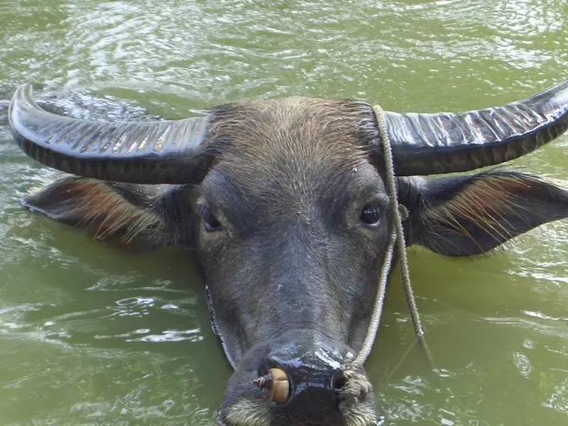 认识和识别质量问题,认识真假物品