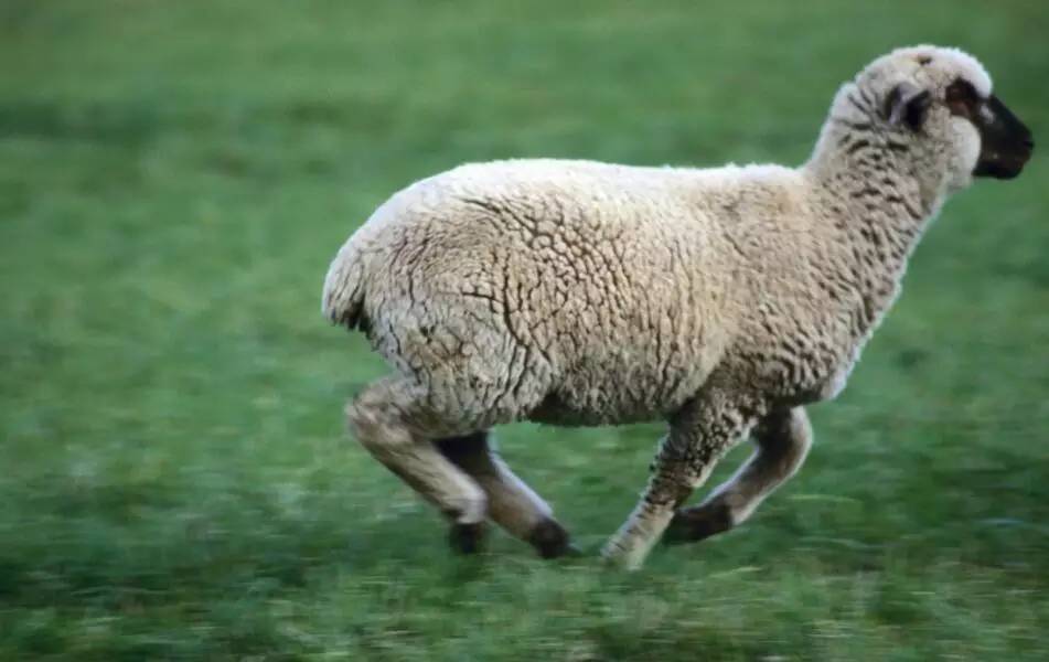 认识和识别质量问题,认识真假物品