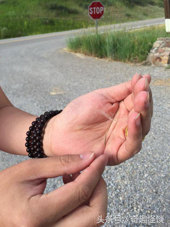 在美国旅游视频教学,美国自由行自驾游