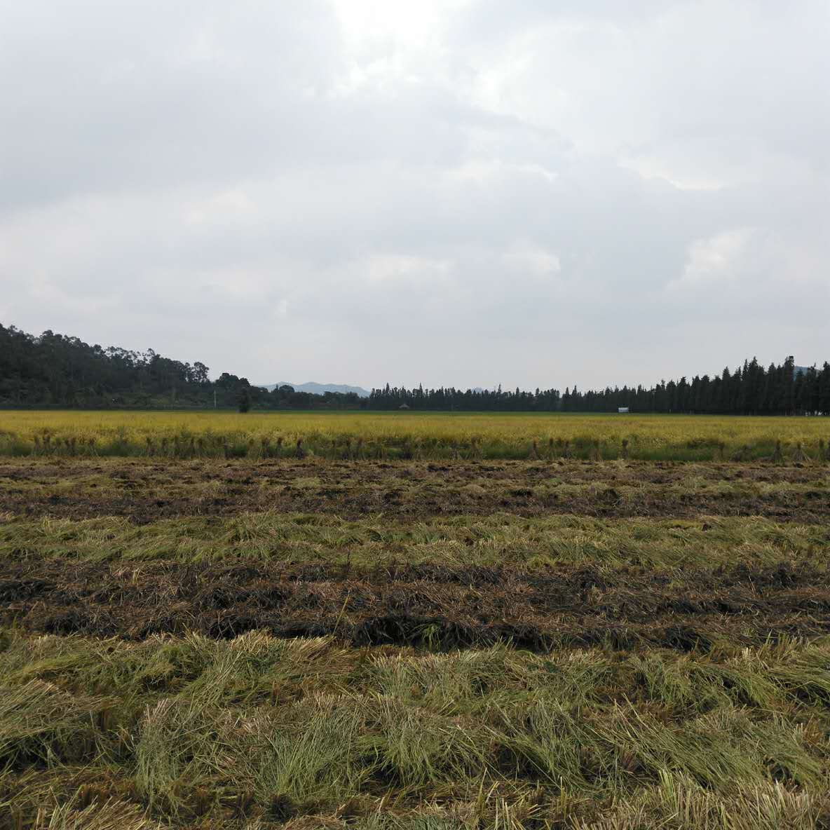 到珠海看航展攻略,去珠海看航展攻略