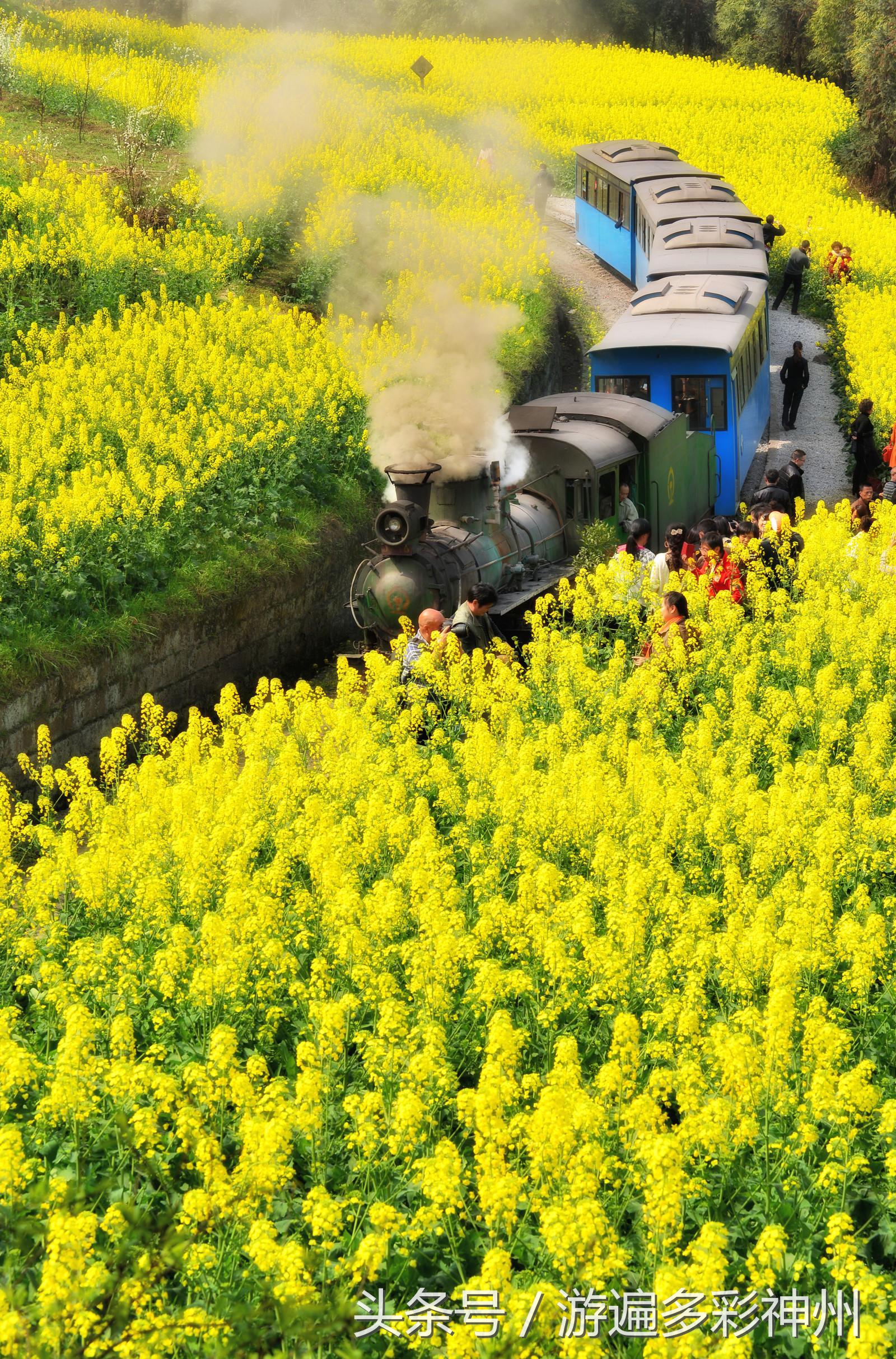 浜氭床娴锋,棣欏浗娴锋