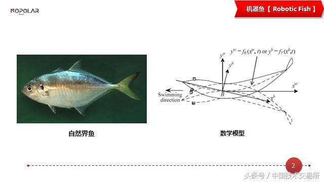 诺伯乐,诺伯乐电子科技公司