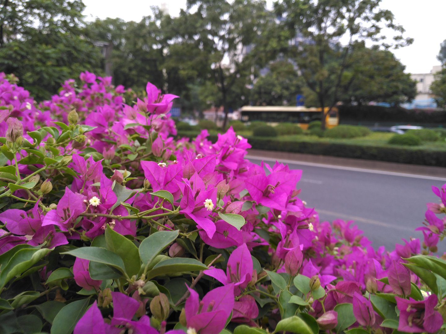 锤子m1l游戏评测视频,锤子m1l游戏测评