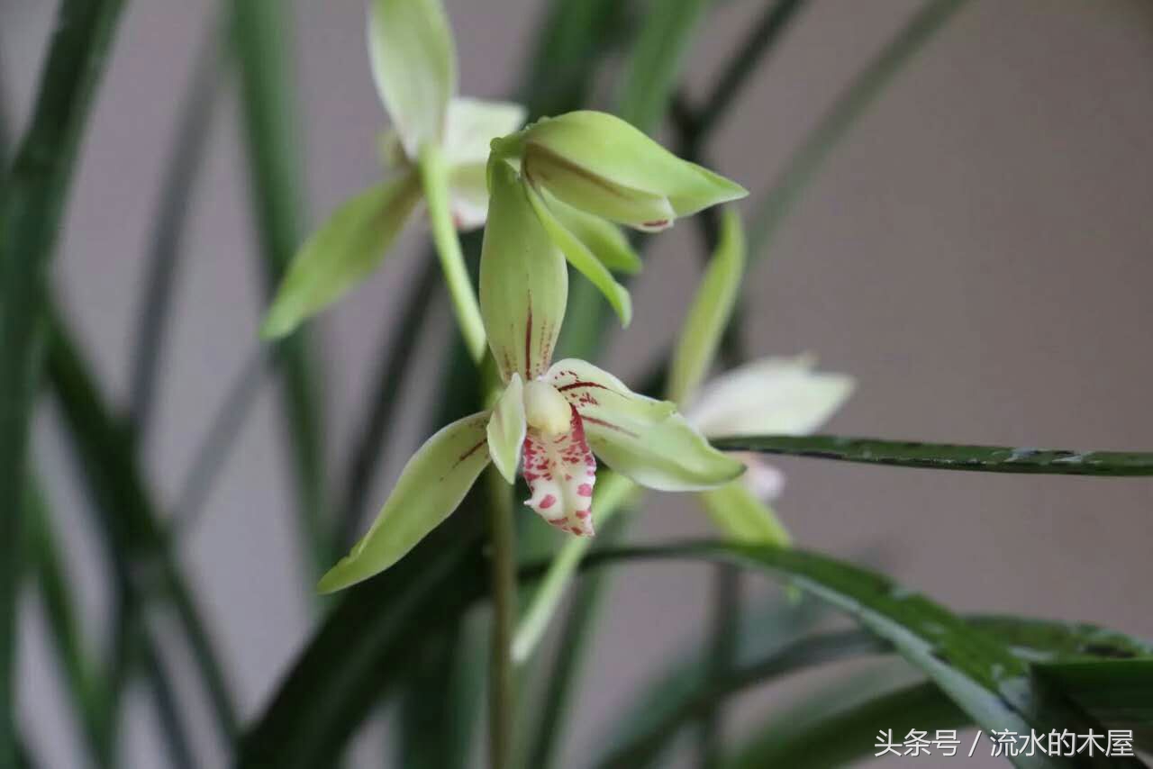 毕业后你会忘了我吗怎么回复,当一个男生问你还记得我吗