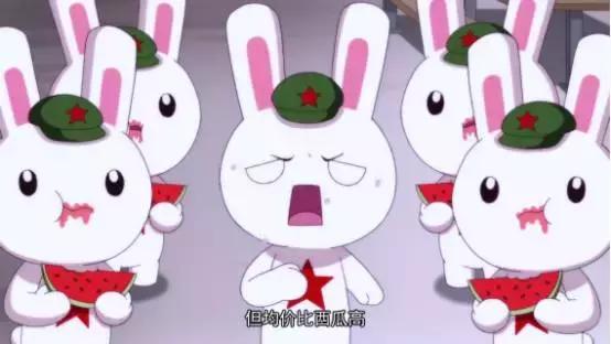 那年那兔那些事儿沙雕动画,推荐动画那年那兔那些事