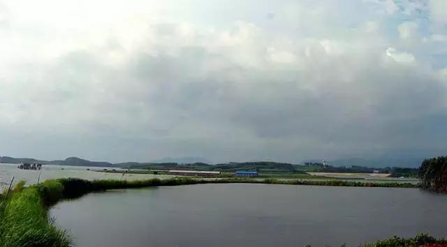 港南区哪里好玩,港南市哪里好玩