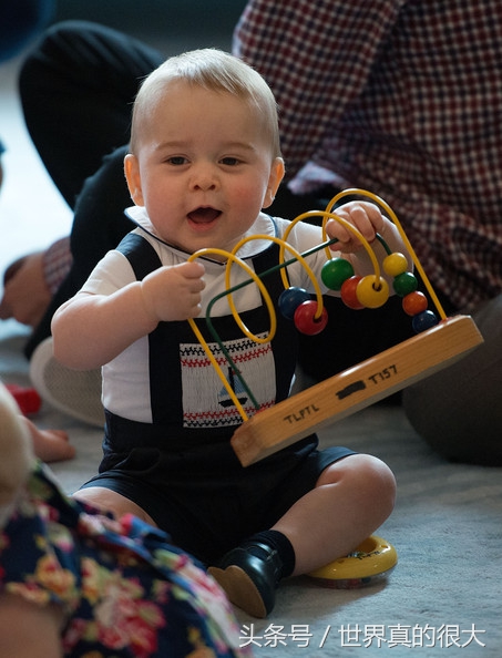 世上最萌小王子备受非议，只因他收了1.8万英镑的牧羊人小屋