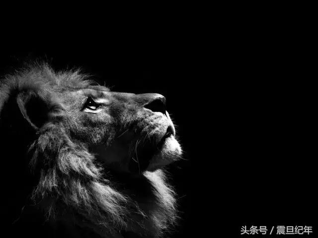 在非洲生活和工作是什么样的体验？