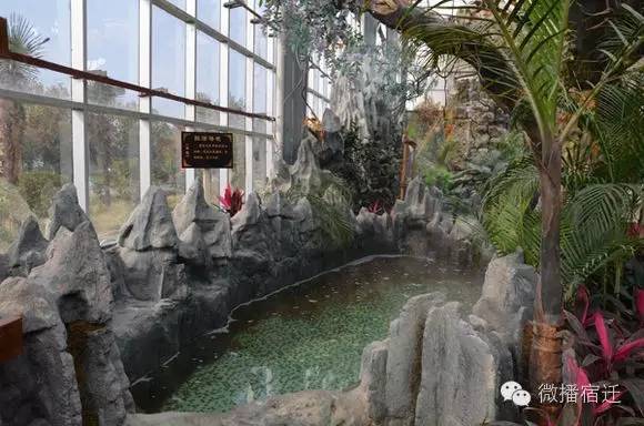 江苏宿迁市冬天最好的温泉,泡温泉地方推荐宿豫区