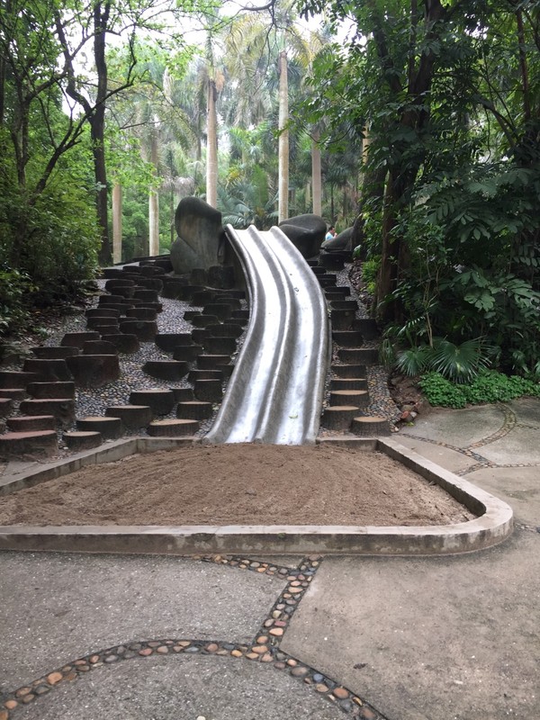 两大两小的厦门四日游