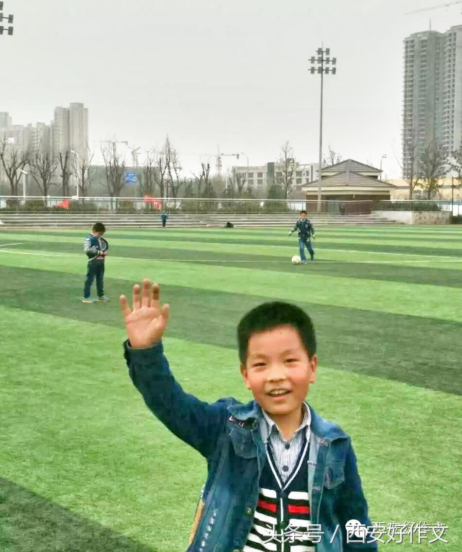 秋日暖阳爬山去酸枣柿子大丰收(听娃讲作文)