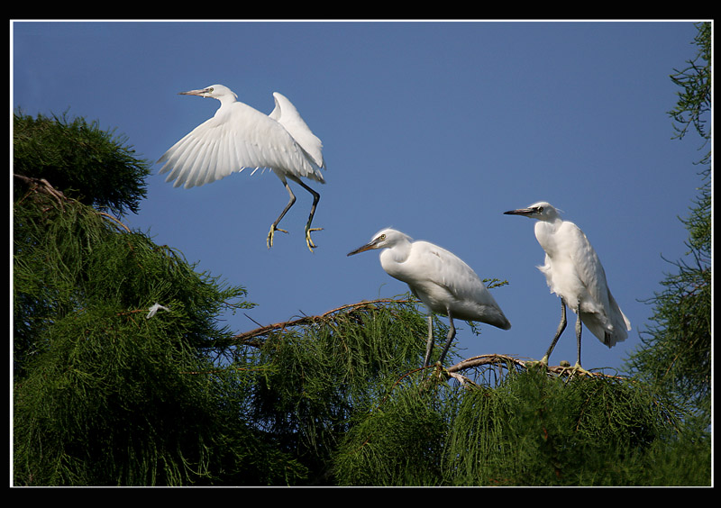 电销人员真实情况,电销的禁忌和建议