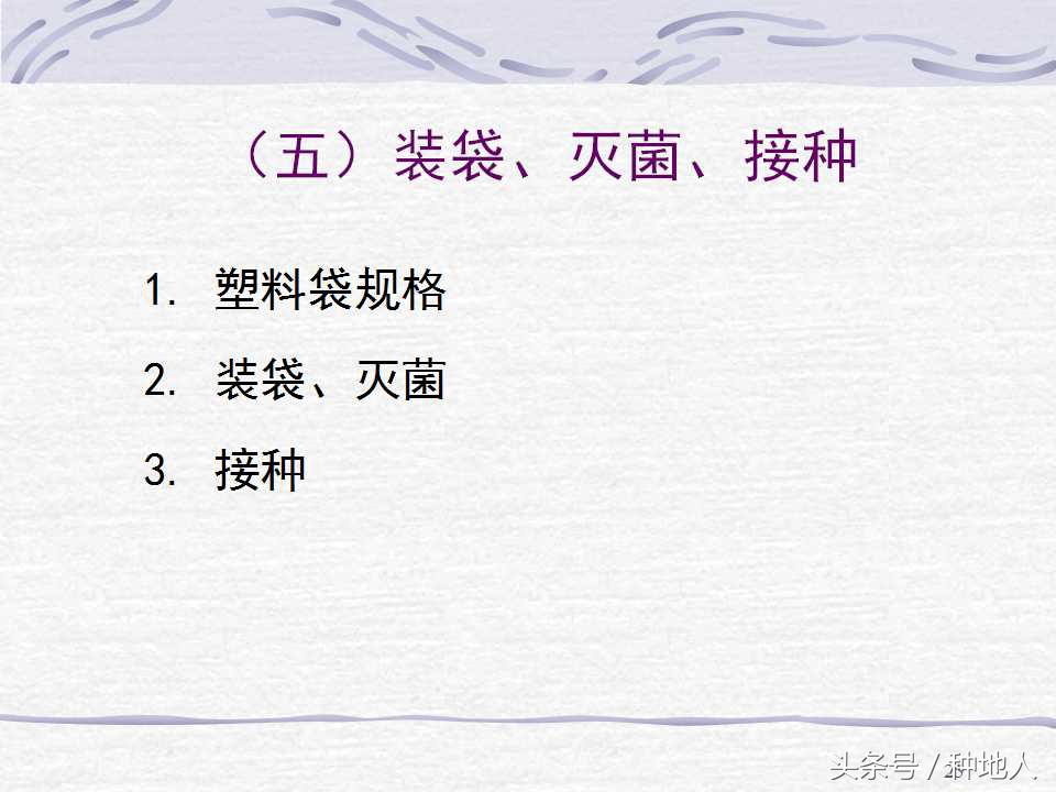 香菇栽培实用技术教案,屋顶香菇栽培