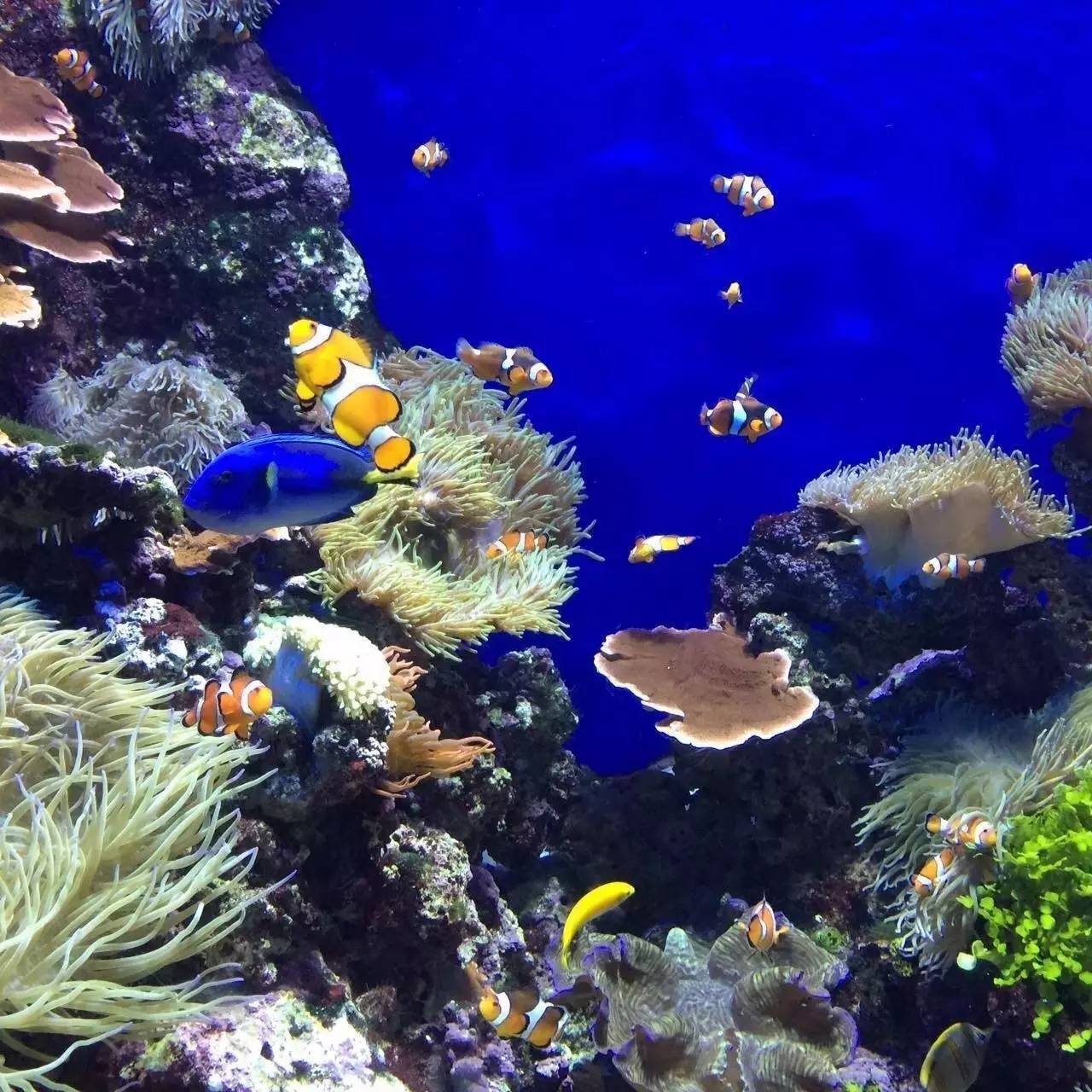 马来西亚南太平洋岛屿,马来西亚赤道向北移动