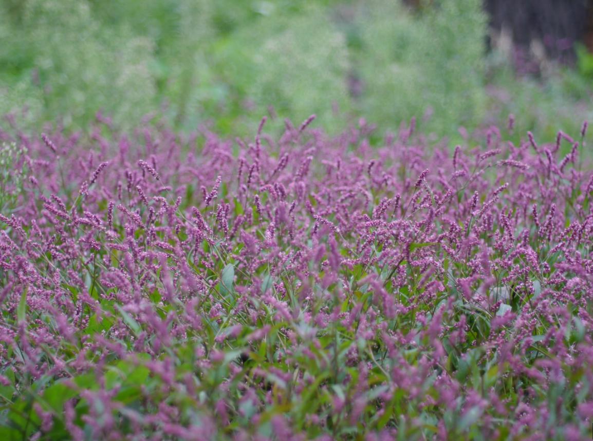 非专业人士适合的微单,非职业拍照拍人照相机推荐