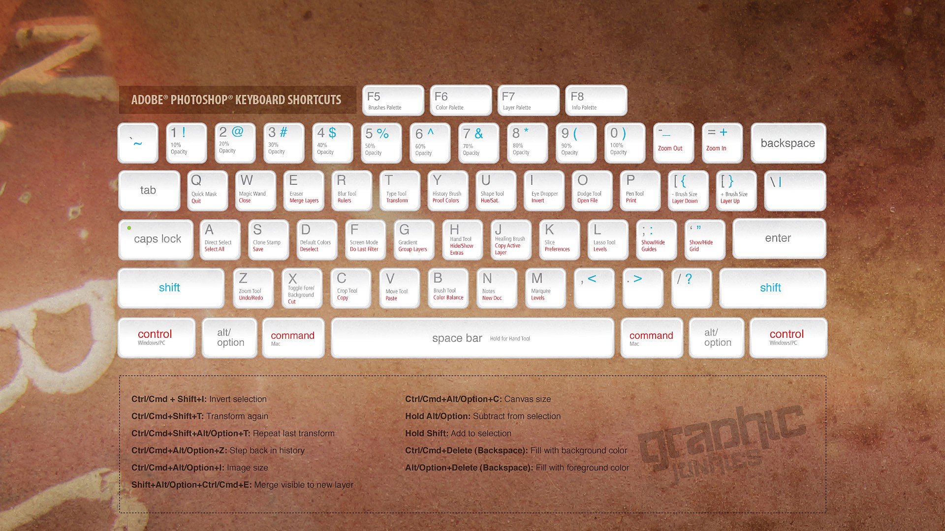 一起学习excel技巧直播,一起学excel小技巧