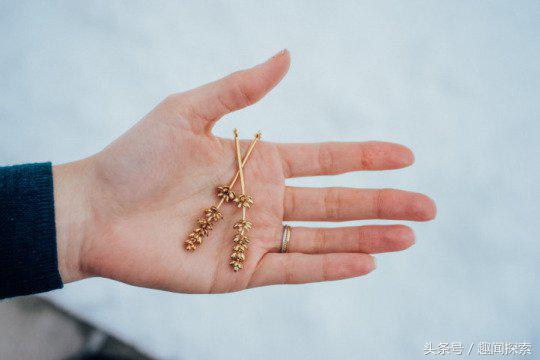 身上没有鹿角、花草算什么森女?仙气飘飘饰品让你变身森林系女神