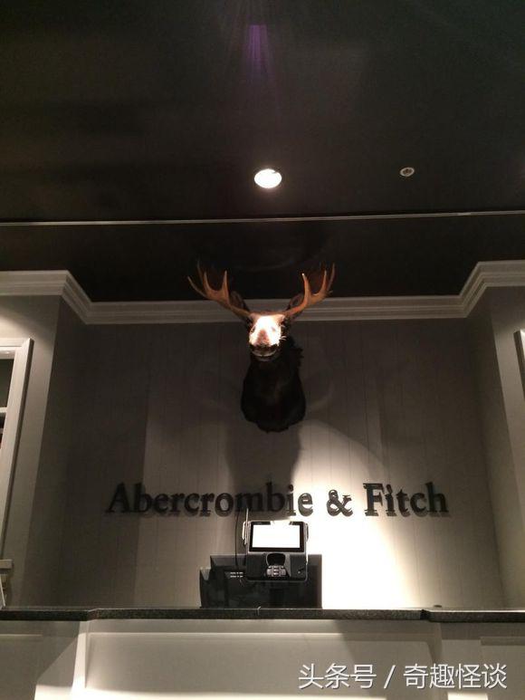 在美国旅游视频教学,美国自由行自驾游