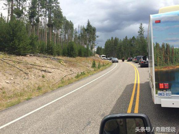 在美国旅游视频教学,美国自由行自驾游