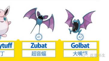 宝可梦2023万圣节限定,宝可梦万圣节特别篇