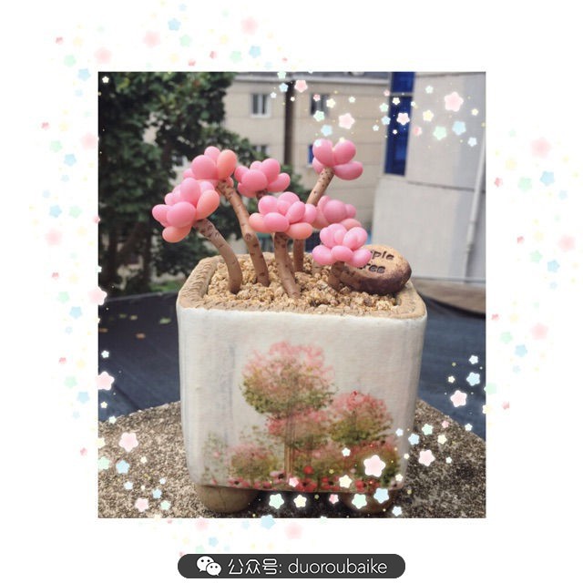 谈谈我的看法和感想,谈谈我对自己的看法