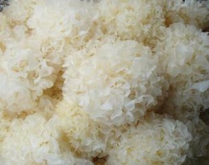 肺不好吃什么水果最养肺,最有效的养肺食疗食谱分享